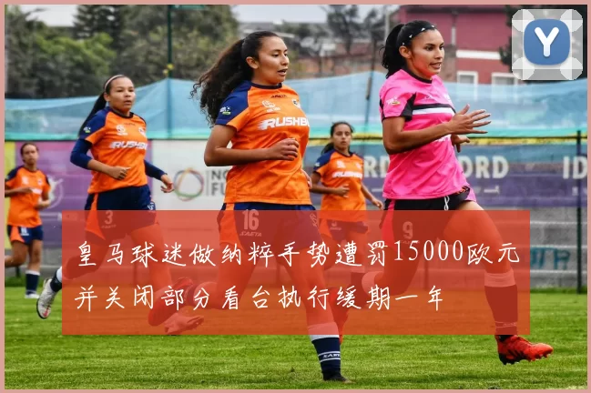 皇马球迷做纳粹手势遭罚15000欧元并关闭部分看台执行缓期一年
